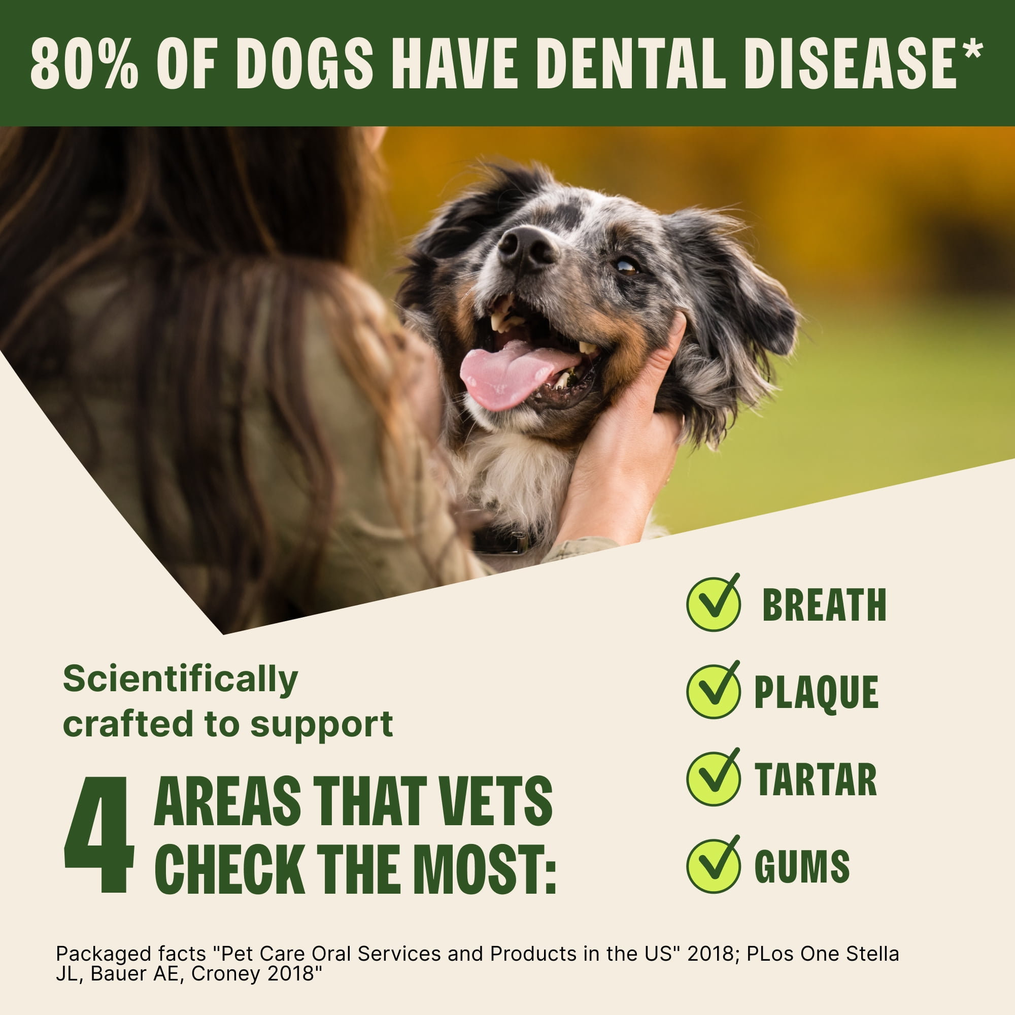 Wellness WHIMZEES Daily Brushzees Natural Dog Dental Treat, VOHC Accepted Chews, Freshens Breath, Extra-Small Size, 7.4 oz Bag, 28 Count