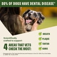 thumbnail image 6 of Wellness WHIMZEES Hedgehog Natural Dog Dental Treat, Chews, Freshens Breath, Large Size, 12.7 oz Bag, 6 Count, 6 of 9