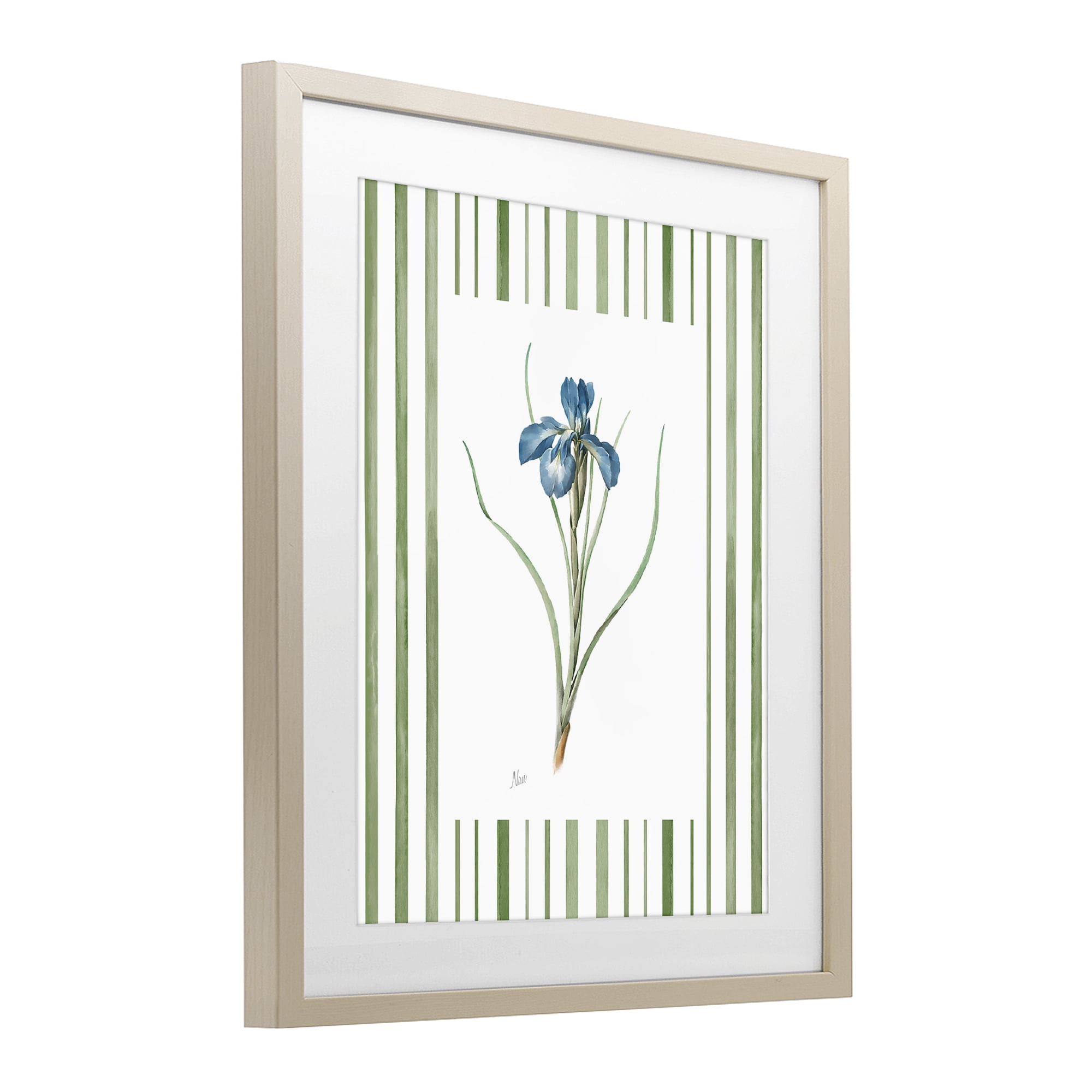 Stupell Industries Spring Iris And Stripes Birch Framed Print Under Glass, design by Nan