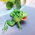 thumbnail image 3 of PVC Toy Growth Cycle Life Cycle Model Set Frog Model Sale H8I1 Hot F4G0 G8S5, 3 of 9