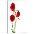 thumbnail image 2 of Fleurs de Coquelicot Rouge Isolées - Impression sur Toile Florale, 2 of 3