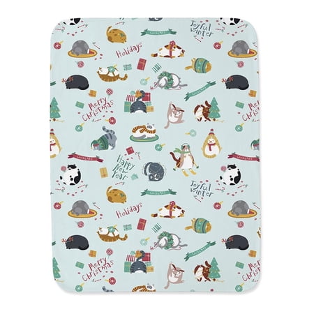 Winter Holidays Cats Blanket -Image by Shutterstock,
