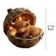 thumbnail image 3 of Adornos navideños Chopper de 8 cm con diseño de animales del bosque, para árbol de Navidad, regalo navideño, decoración colgante, decoración de jardín, decoración navideña y de Halloween., 3 of 5