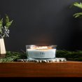 thumbnail image 4 of Candle WoodWick, elipse con aroma a abedul y magnolia, 470 ml, 4 of 6