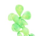 thumbnail image 2 of Plástico Acuario Pecera Paisaje Césped Artificial Decoración Planta 10 Unids Verde, 2 of 3