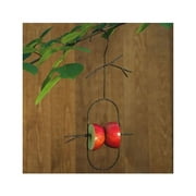 Ancient Graffiti Fruit Spear Twig Hanging Decorative Bird Feeder