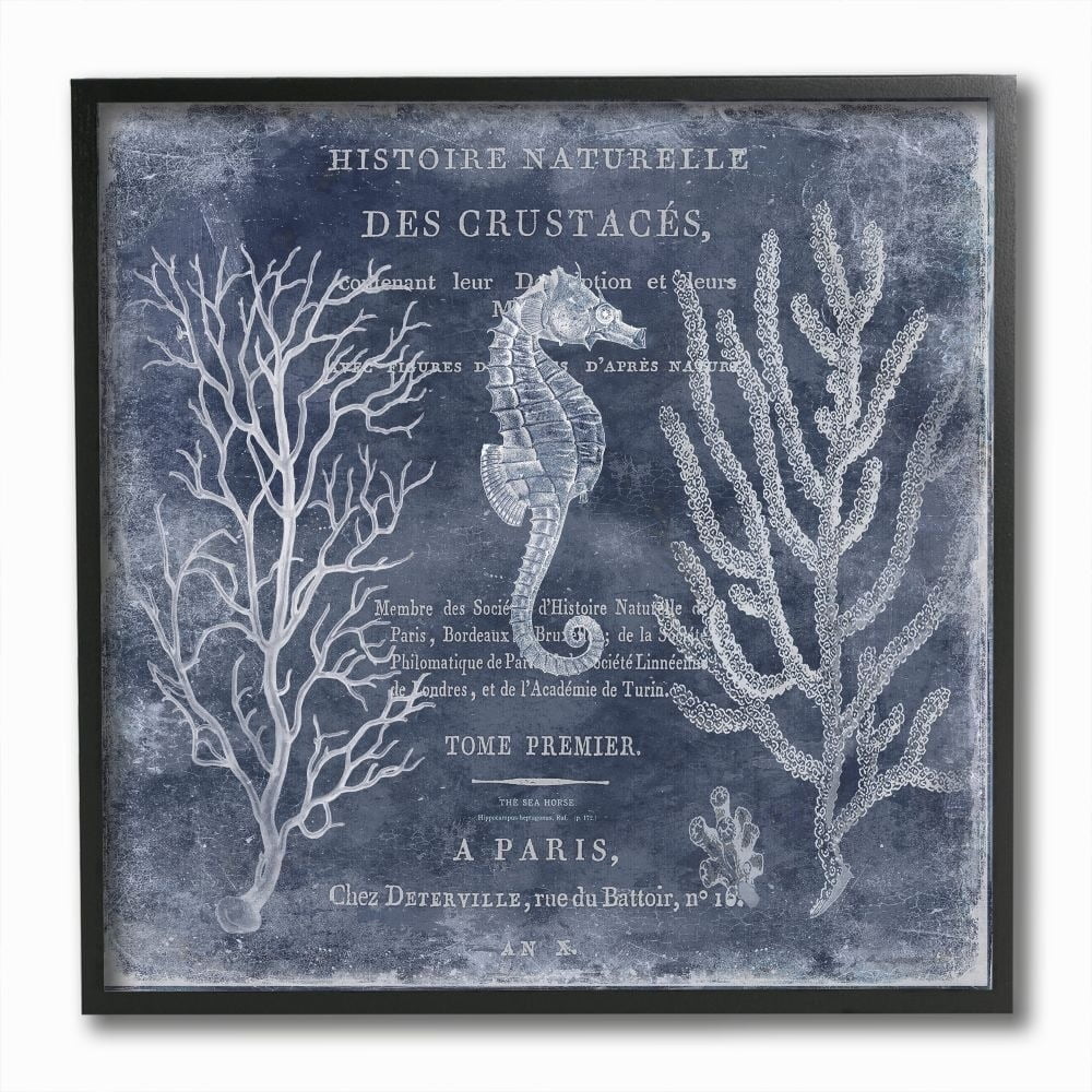 Stupell Industries Vintage European Seahorse Design Framed Wall Art by Deborah Devellier
