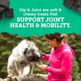 thumbnail image 2 of Zuke's Hip and Joint Support Chicken Recipe, Soft Dog Treats 170 g, 2 of 9