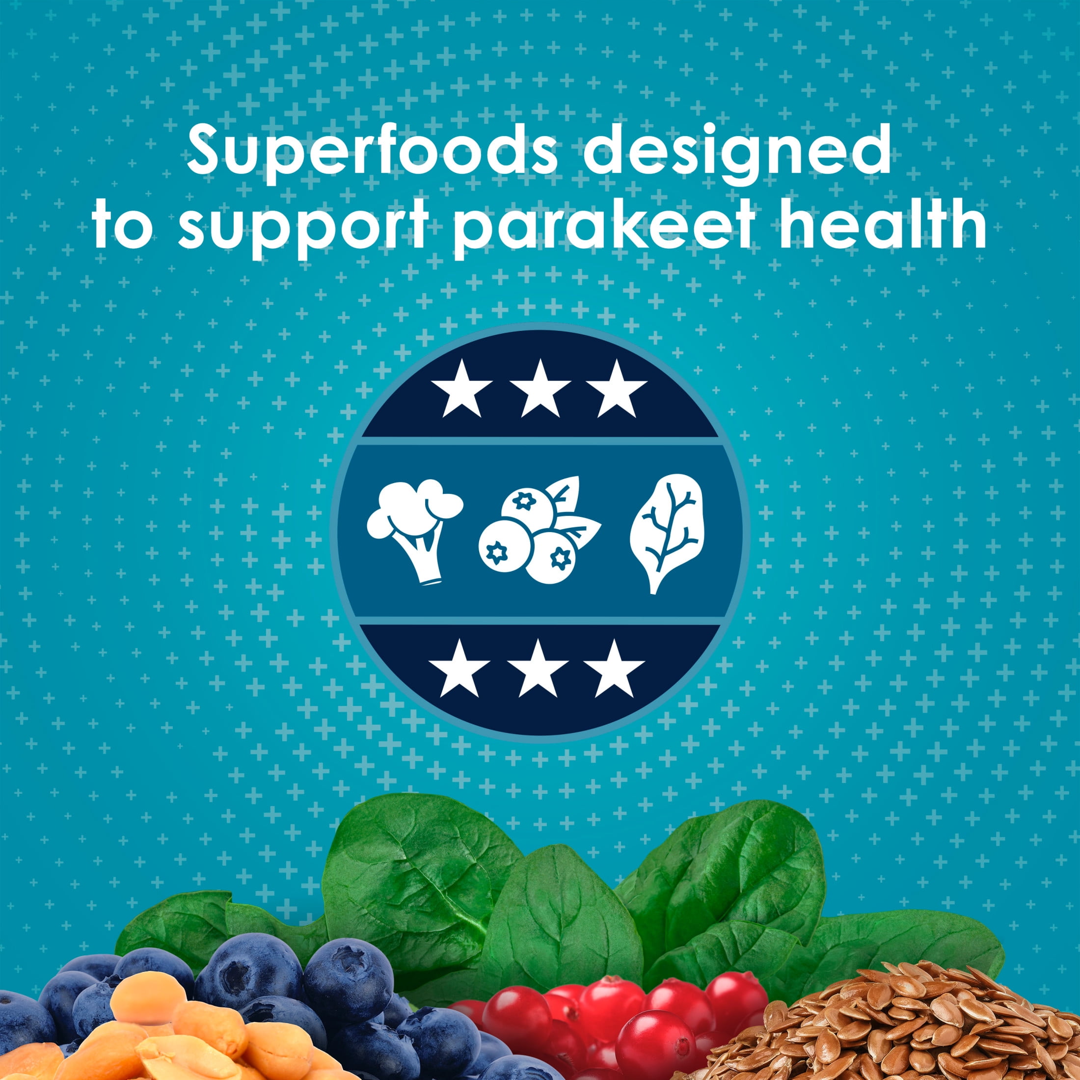Kaytee Forti-Diet Pro Health Nourish+Protect Parakeet Food 25 Pounds