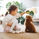 thumbnail image 3 of Botón de entrenamiento para perros que ladran | Juguete de comunicación con grabación de voz para mascotas | Botón interactivo para perros | Herramienta de entrenamiento conductual para aliviar la an, 3 of 5