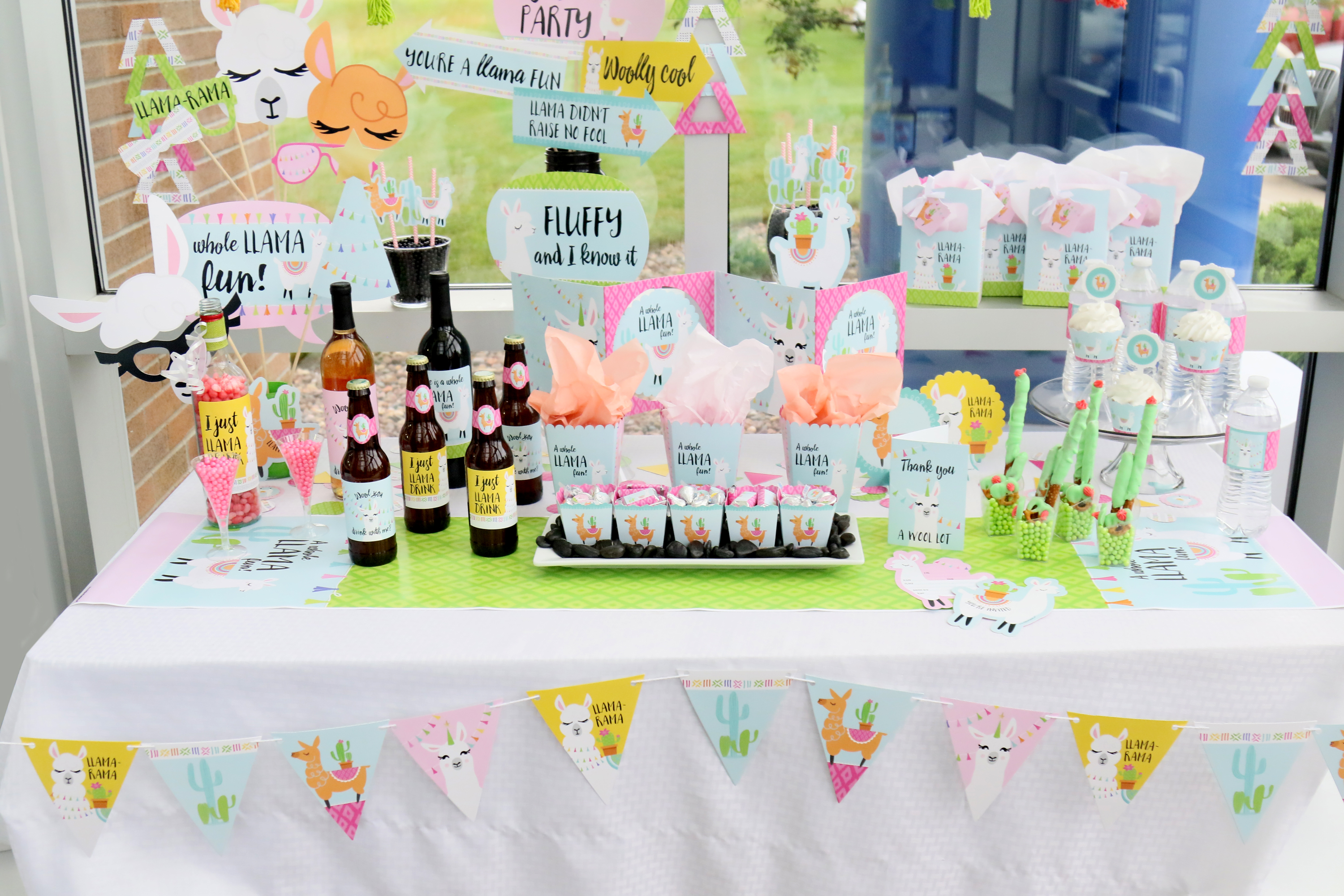 Whole Llama Fun Party Supplies
