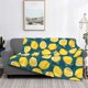 thumbnail image 2 of Fotbe Lemon Manta de Franela con Estampado, Manta Ultrasuave para Cama, Sofá, Auto, Hipoalergénica y Antibolitas-60"x50", 2 of 6