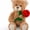 Teddy Bear Brown, variant on Guvpev Adorable Teddy Bear Plush with Rose, 9" Soft and Cuddly Stuffed Animal for Girlfriend, Wife, Friends, Anniversary & Graduation Gifts, Tan