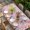pink, variant on Easter Bunny Table Cloths for 6 Foot Rectangle Tables, Rabbit Spring Flowers Leaves Vintage Rustic Plants Patio Waterproof Elastic Fitted Tablecloths, Washable Rectangular Table Cover for Camping