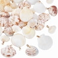 thumbnail image 1 of 30 piezas de 5 estilos de conchas marinas naturales de 1 a 2 pulgadas, conchas de playa con anilla dorada., 1 of 5