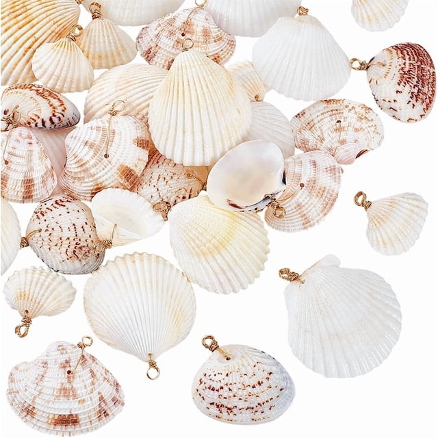 30 piezas de 5 estilos de conchas marinas naturales de 1 a 2 pulgadas, conchas de playa con anilla dorada.