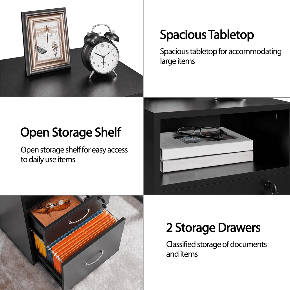 Alden Design 2- Drawer Wooden Vintage Mobile File Cabinet for Home and Office, Black