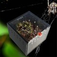thumbnail image 3 of TUEUIO1，Reptile Feeding Box Portable Insect Habitat Acrylic Case For Hermit Crabs - Snngv, 3 of 5