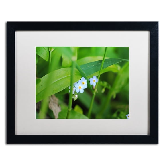 Trademark Fine Art "Limited Perfection" Canvas Art by Monica Mize, White Matte, Black Frame