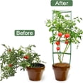 thumbnail image 3 of Create A Perfect Support System with 36Pcs Plant Stake Arms for Tomato Cage, 3 of 9
