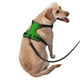 thumbnail image 2 of Balery Green Arnés para Perros Grandes Antitirones, Arnés con Correa para Gato, Arnés Tipo Chaleco para Perros Pequeños-Medium, 2 of 6