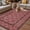 Reddish Brown, variant on Grey Boho Outdoor Rug for Patio/Deck/Porch, Non-Slip Large Area Rug 6 x 9 Ft, Vintage Ethnic Tribe Abstract Art Floral Indoor Outdoor Rugs Washable Area Rugs, Reversible Camping Rug Carpet Runner