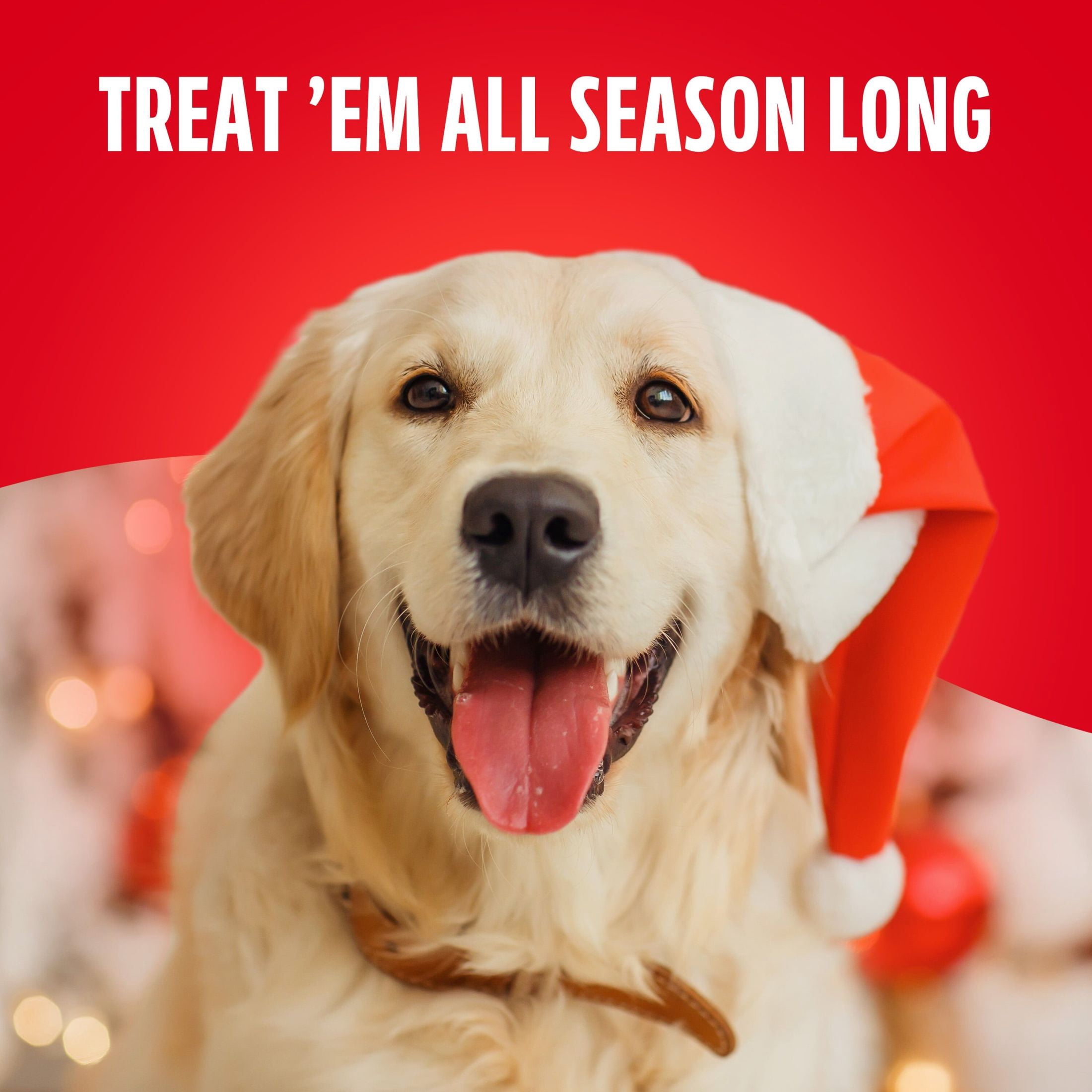 (2 pack) Milk Bone Winter Pawliday Treats, Soft & Chewy Dog Treats, Chicken Recipe, 4.5 oz Bag
