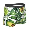 thumbnail image 3 of Balery Watercolor Green Tropical Men's Boxer Briefs, Soft and Breathable Cotton Underwear with nylon Waistband-Large, 3 of 9