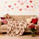 thumbnail image 5 of Flannel Blanket Office Nap Blanket Home Sofa Blanket, 5 of 6