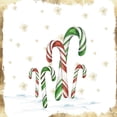 thumbnail image 3 of PI Studio 12x12 Black Modern Framed Museum Art Print Titled - Snowy Candycanes I, 3 of 5