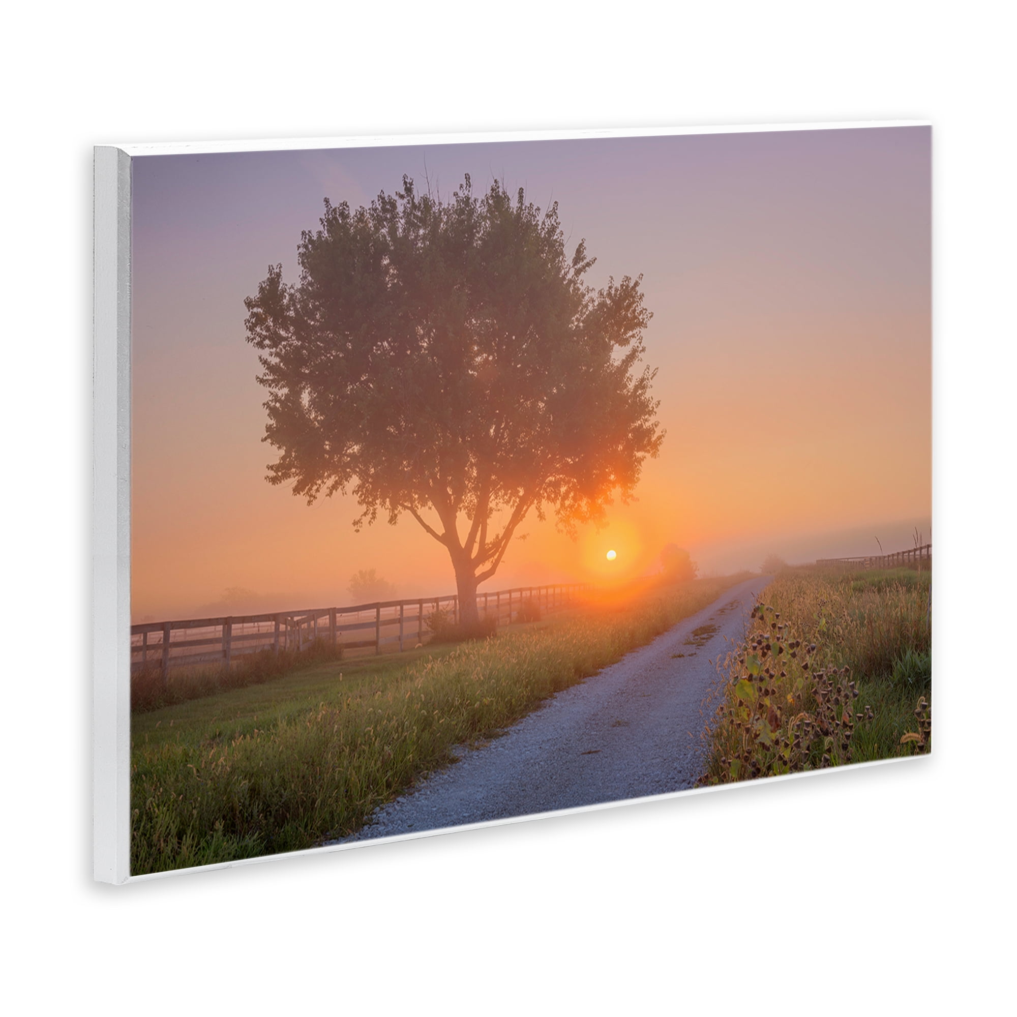 Stupell Industries Flower Lined Path Landscape & Nature Photography Unframed Art Print Wall Art, 19 x 13