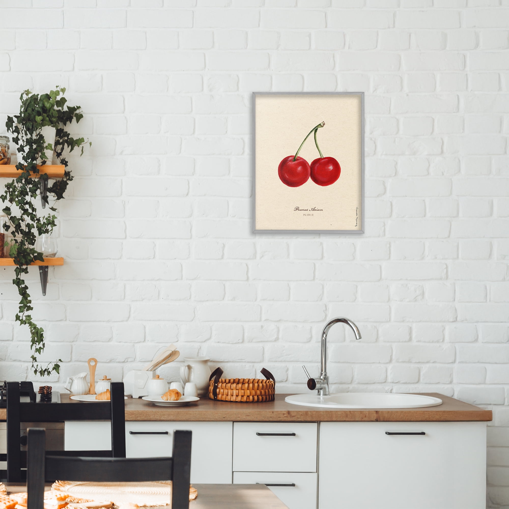 Stupell Industries Cherry Fruit Portrait Gray Framed Giclee Art, design by Danielle Murray