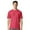 Heather-Red, variant on Gildan Unisex Short Sleeve Light T-Shirt 100% Cotton Modern Classic Fit Crew Neck Tee (Black, L)
