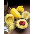 thumbnail image 3 of Burpee Vegetable Spaghetti Winter Squash Annual Vegetable Seed, 1-Pack, Full Sun, 3 of 3