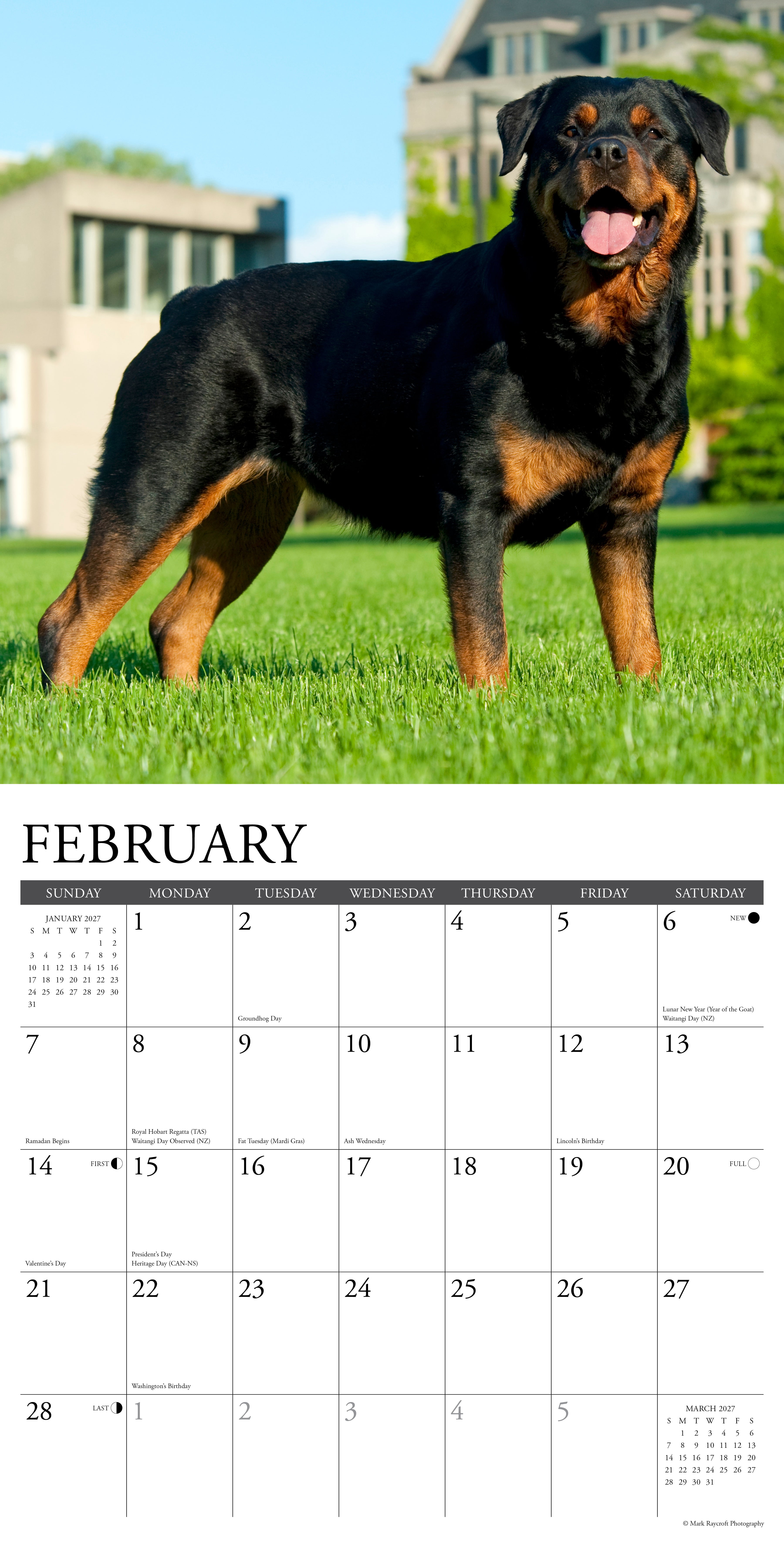 Willow Creek Press, Rottweilers 2027 Wall Calendar