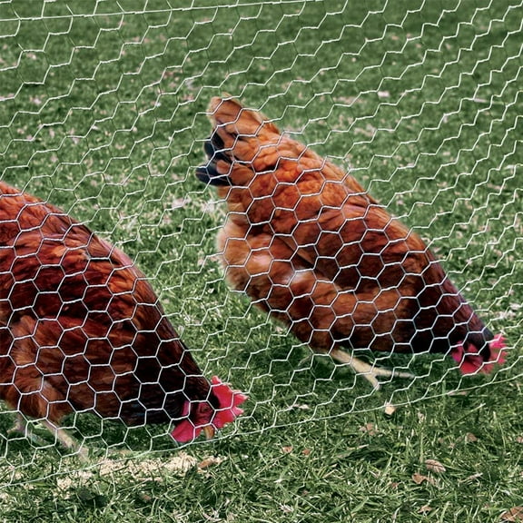 2 Inch Mesh Chicken Wire Fence 24in x 150ft Galvanized Steel for Garden, Poultry, Rabbit Fencing
