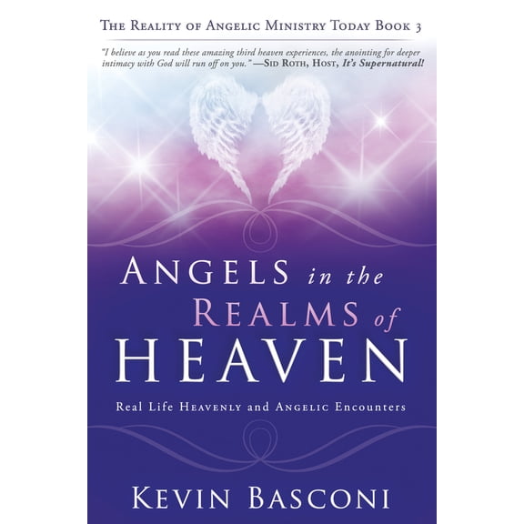 Pre-Owned Angels in the Realms of Heaven: The Reality of Angelic Ministry Today (Paperback) 0768402913 9780768402919