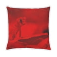 thumbnail image 2 of Ahgly Company Color Focus Red Indoor Throw Pillow, 18 inch by 18 inch, 2 of 6