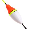 thumbnail image 5 of 10 Uds flotadores de pesca de carpa Set boya Bobber Stick para aparejos de pesca 3,0g Afortunado Sencillez, 5 of 5