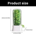 thumbnail image 3 of Visible Plant Container with Air Holes for Refrigerator Storage Vegetable Preserving Bottle for Parsley Asparagu, 3 of 8