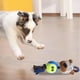 thumbnail image 3 of Juguete para perros de cordero y cuerda de tenis, juguete interactivo para perros con sonido molar., 3 of 8