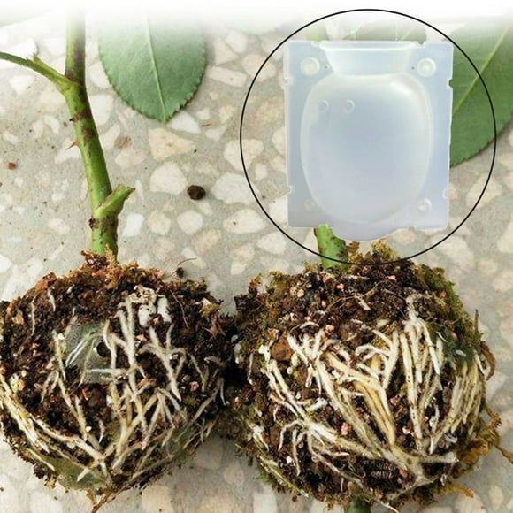 Plant Root Growing Box 3Pcs Plant Root Growing Box Grafting Device High Pressure Propagation Ball Plant Rooting Box