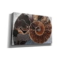 thumbnail image 2 of Epic Graffiti 'Ammonite Spiral' by Elena Ray, Canvas Wall Art, 18"x12", 2 of 8