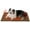 Caramel, variant on Self Warming Cat Bed, Soft Self-Heating Pad for Cats & Dogs, Thermal Extra Warm Puppy Mat Indoor & Outdoor, Non-Slip & Washable