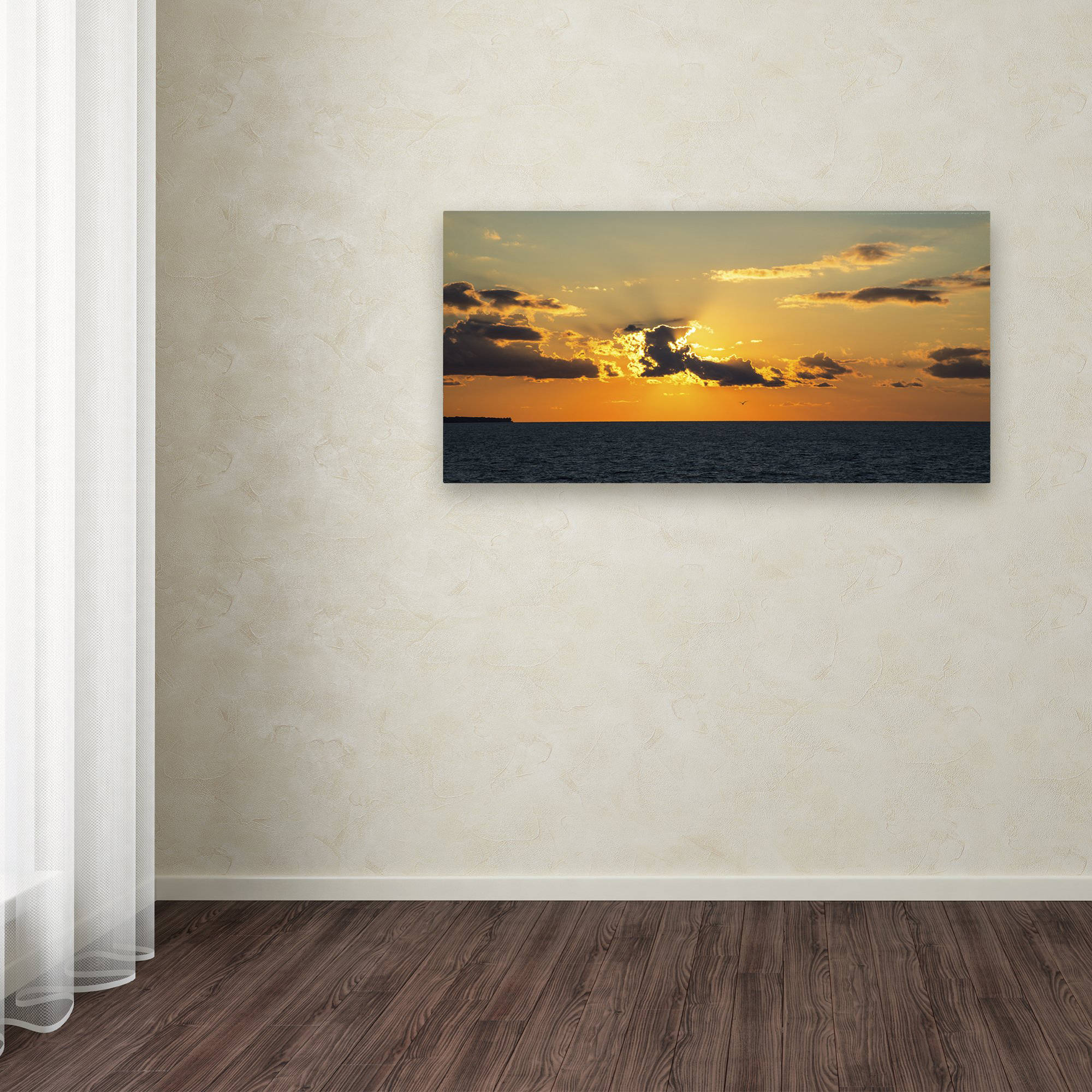 Trademark Fine Art "Seagull Sunset" Canvas Art by Kurt Shaffer
