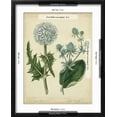 thumbnail image 5 of Art.com Cottage Florals III Art Print by Sydenham Teast Edwards, Black Frame Wall Art, 17" x 21", 5 of 5