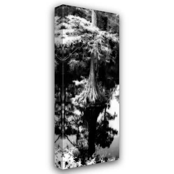 Alan Hausenflock 11x24 Gallery Wrapped Canvas Wall Art Titled - Trenton Cyprus Panel I