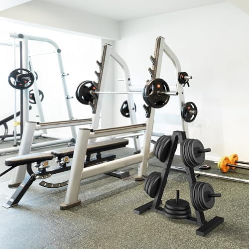 Weight Plate Rack, Weight Tree, 1-Inch Home Gym Storage Stand, Holds 300 lbs$$Sport & Recreation Other
