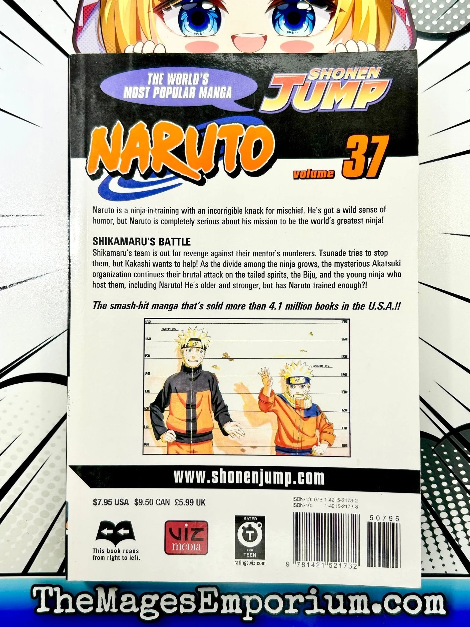 NARUTO　関連本37冊　　オフィシャルデータブック　アニメコミックス　等 NARUTO―ナルト―［秘伝・闘の書］ キャラクターオフィシャル