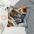 thumbnail image 3 of Cat Print Throw Pillow Cover 18x18 Inch, Colorful Cute Cat Pattern with Hidden Zipper, Soft Polyester Decorative Pillow for Sofa Couch Bed Home Decor, 3 of 5